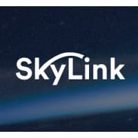 Providing Faster Service to Travelers with SkyLink